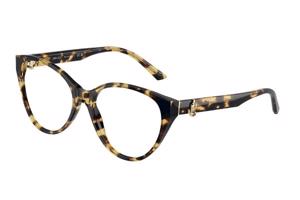 Jimmy Choo JC3009 5004 - L (54)