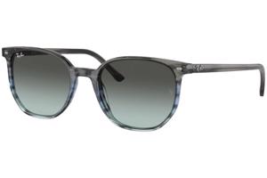 Ray-Ban Elliot RB2197 1391GK - L (54)