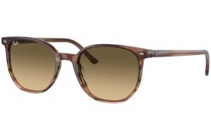 Ray-Ban Elliot RB2197 13920A - L (54)