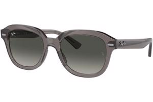 Ray-Ban Erik RB4398 667571 - L (53)