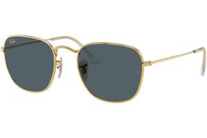 Ray-Ban Frank RB3857 9196R5 - L (54)