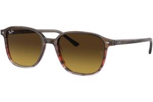 Ray-Ban Leonard RB2193 138085 - M (53)