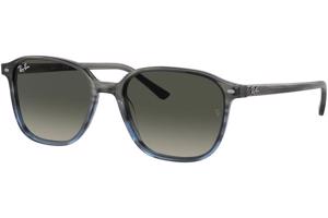 Ray-Ban Leonard RB2193 138171 - L (55)