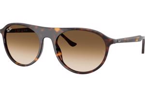 Ray-Ban RB2215 902/51 - L (59)