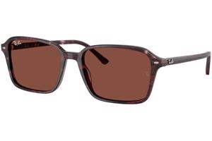 Ray-Ban RB2231 1416C5 - L (58)