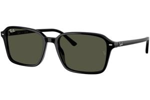 Ray-Ban RB2231 901/31 - L (58)