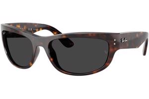 Ray-Ban RB2289 902/48 Polarized - M (60)