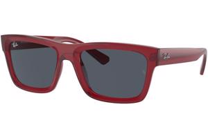 Ray-Ban RB4396 667987 - M (54)