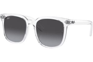 Ray-Ban RB4401D 64478G - M (55)