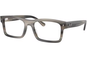 Ray-Ban RX5435 8404 - L (56)