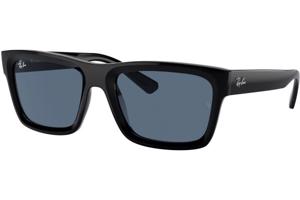 Ray-Ban Warren RB4396 667780 - M (54)