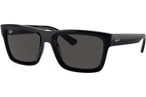 Ray-Ban Warren RB4396 667787 - M (54)