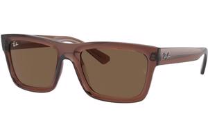 Ray-Ban Warren RB4396 667873 - M (54)